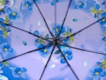 Зонт  женский механика  Rain Proof, арт. 1055-10_product